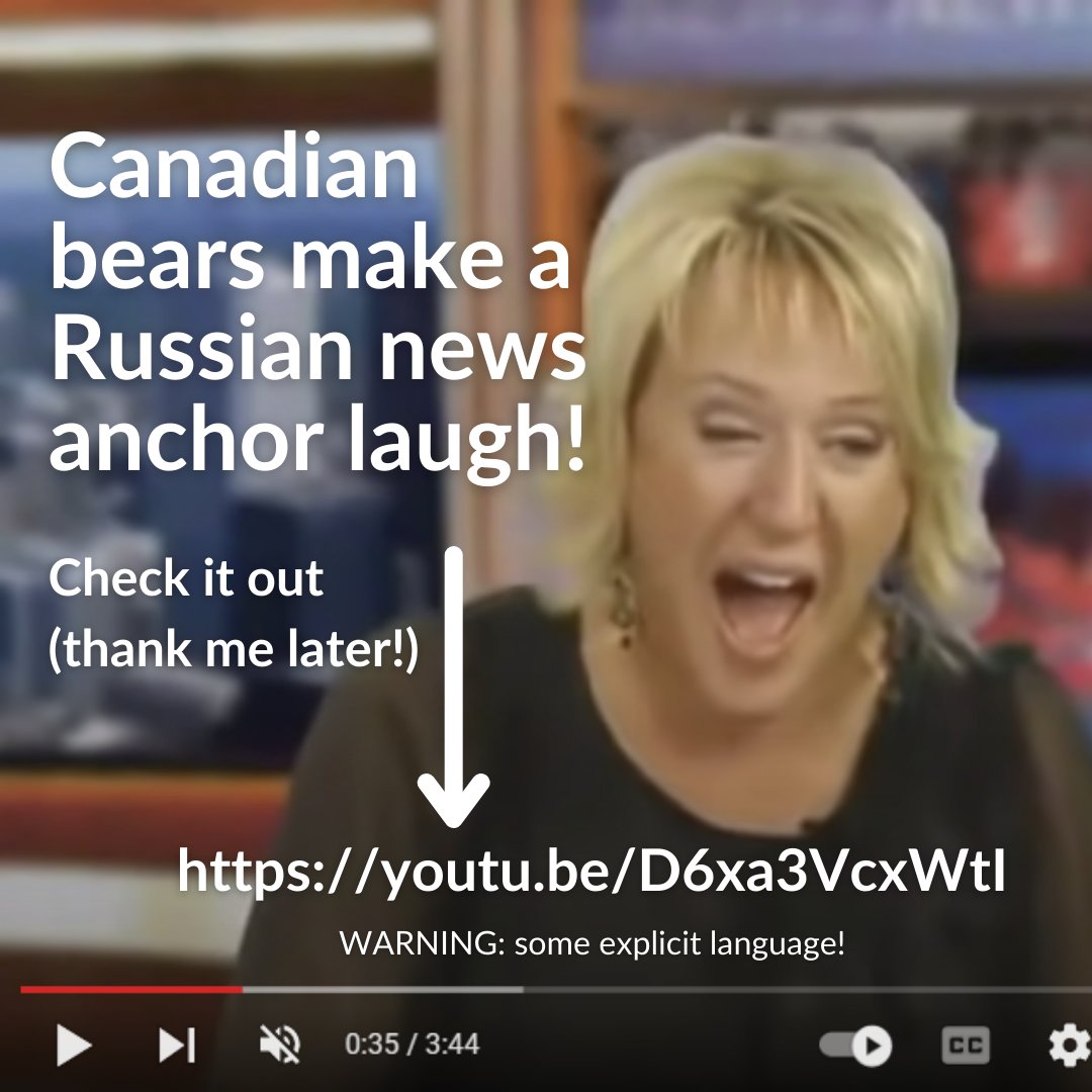 Bear Blocks tweet media