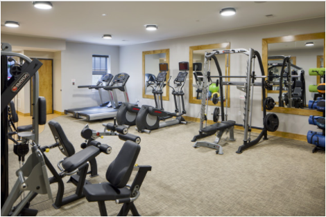 Willow and Maple tweet media