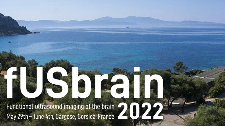 Physics for Medicine Paris (@physmedparis) on Twitter photo 🗓️SAVE THE DATE May 29th-June 4th: #fUSbrain2022, the second edition of the workshop dedicated to functional ultrasound imaging. A perfect blend of top-level science and Corsican sceneries. Registration will open in mid-February, stay tuned! physicsformedicine.espci.fr/fusbrain2022/ <a href="/IES_Cargese/">IES Cargese</a> 🗓️SAVE THE DATE May 29th-June 4th: #fUSbrain2022, the second edition of the workshop dedicated to functional ultrasound imaging. A perfect blend of top-level science and Corsican sceneries. Registration will open in mid-February, stay tuned! physicsformedicine.espci.fr/fusbrain2022/ <a href="/IES_Cargese/">IES Cargese</a>
