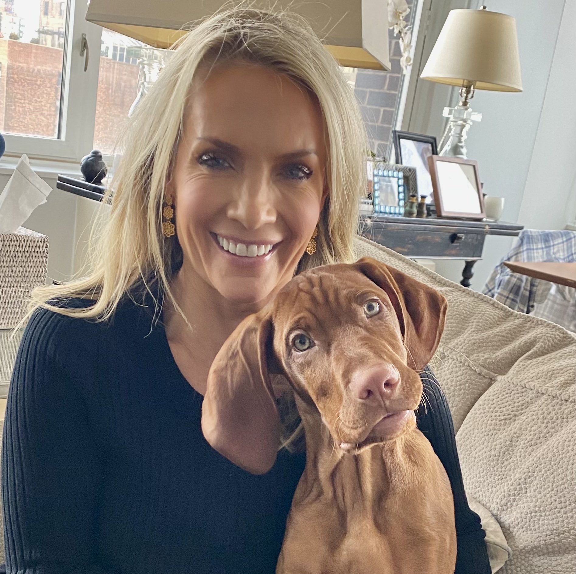Dana Perino on Twitter: "Why did Percy have to stay the night in the hospital last night? I'll do a segment on it next week. He's just fine now. But I'm upset.