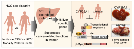 ZJU scientists reveals that Cytochrome P450 family member CYP39A1 with female-preferential expression was a strong suppressor of #hepatocellularcarcinoma (HCC) development.
zju.edu.cn/english/2022/0…

#ZJUResearch