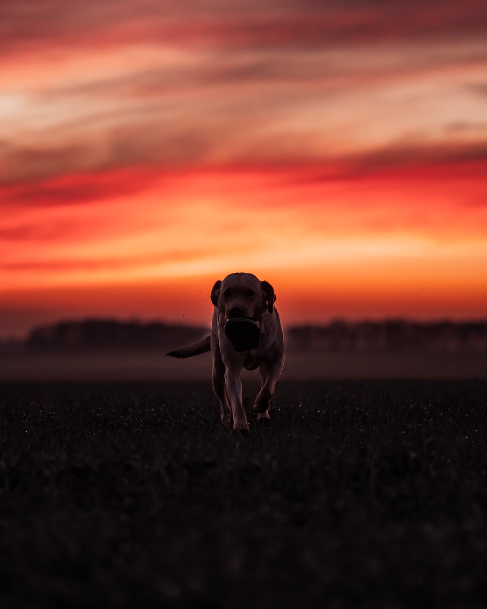 fr57mar's tweet photo. We’ve been having some burning sunsets lately.. here’s one for ya #sunsetphotography #sunset #photography https://t.co/WLHDAz2ju3