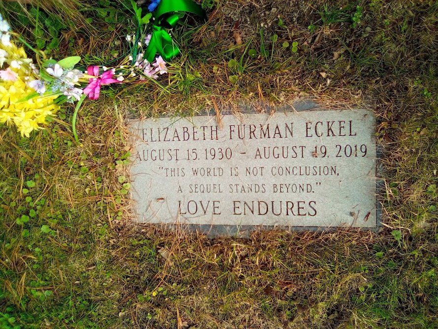 The Past Remembered tweet media