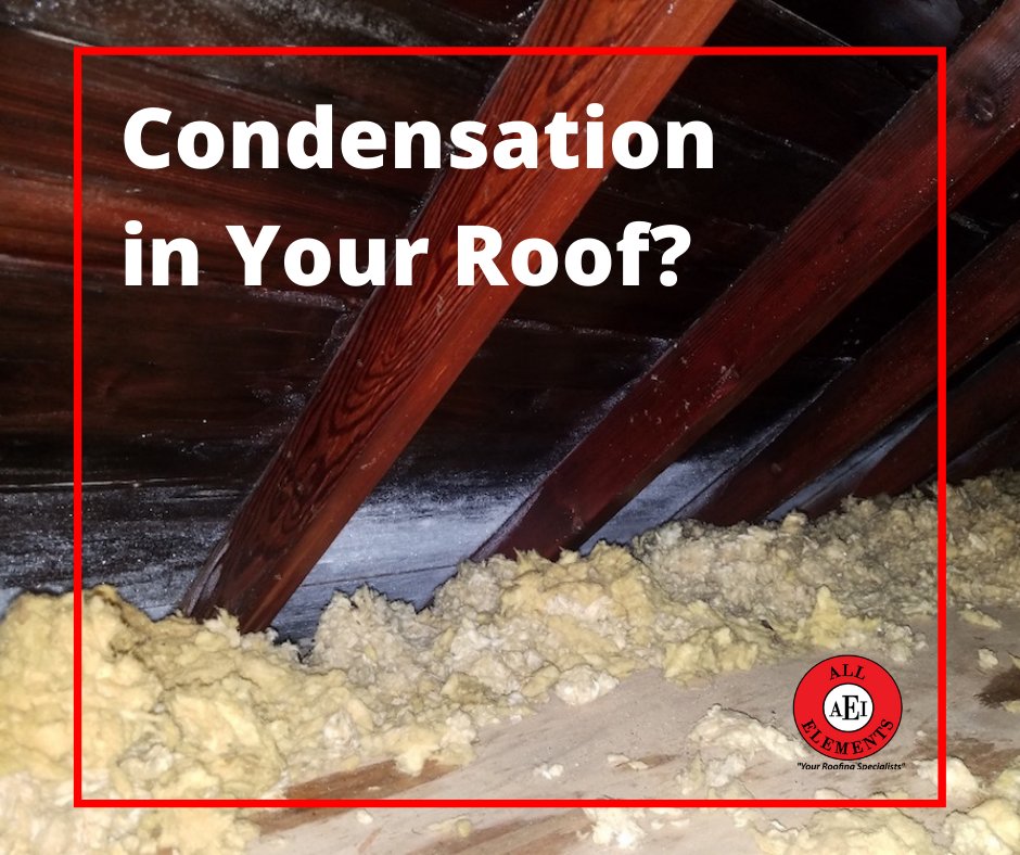 AllElementsInc's tweet photo. Have you noticed a roof leak? 💧 It could be condensation. https://t.co/k65Q1Hv62c https://t.co/1IWQHSPha2