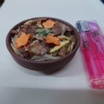 嶽温泉 山のホテル@冬はテントサウナは除雪でおあずけ(泣)のツイート画像