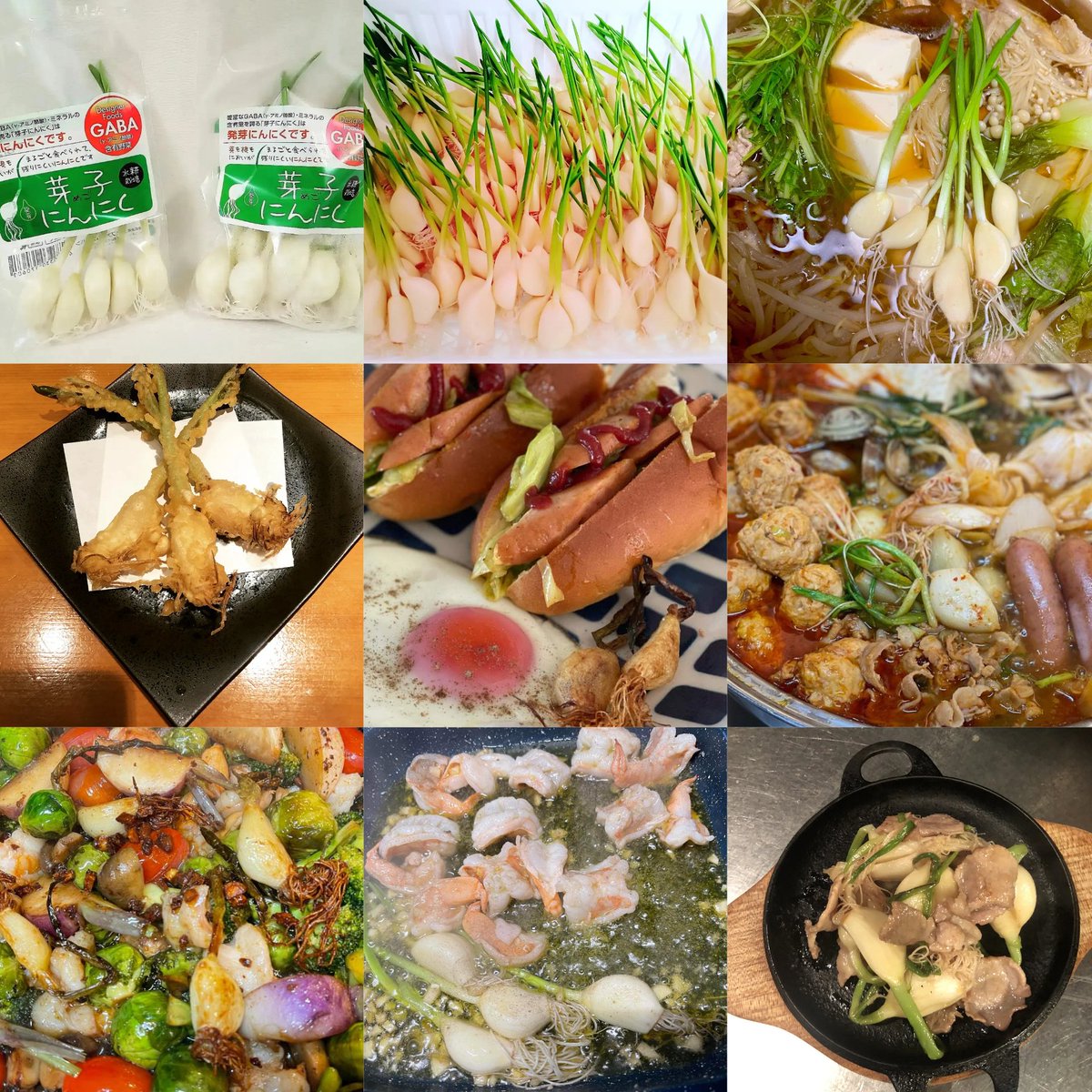 YuraFarm's tweet photo. レシピ様々ございますよ😊
ゆらファームの芽子にんにく（発芽に��にく）を食べてみませんか？？ https://t.co/MvtJJi6qTe
