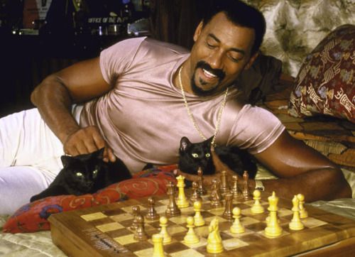 CatsSuperiority's tweet photo. Wilt Chamberlain with his cats, Zip and Zap.

#cute #cats #basketball #NBA https://t.co/vIrxTv1sAf