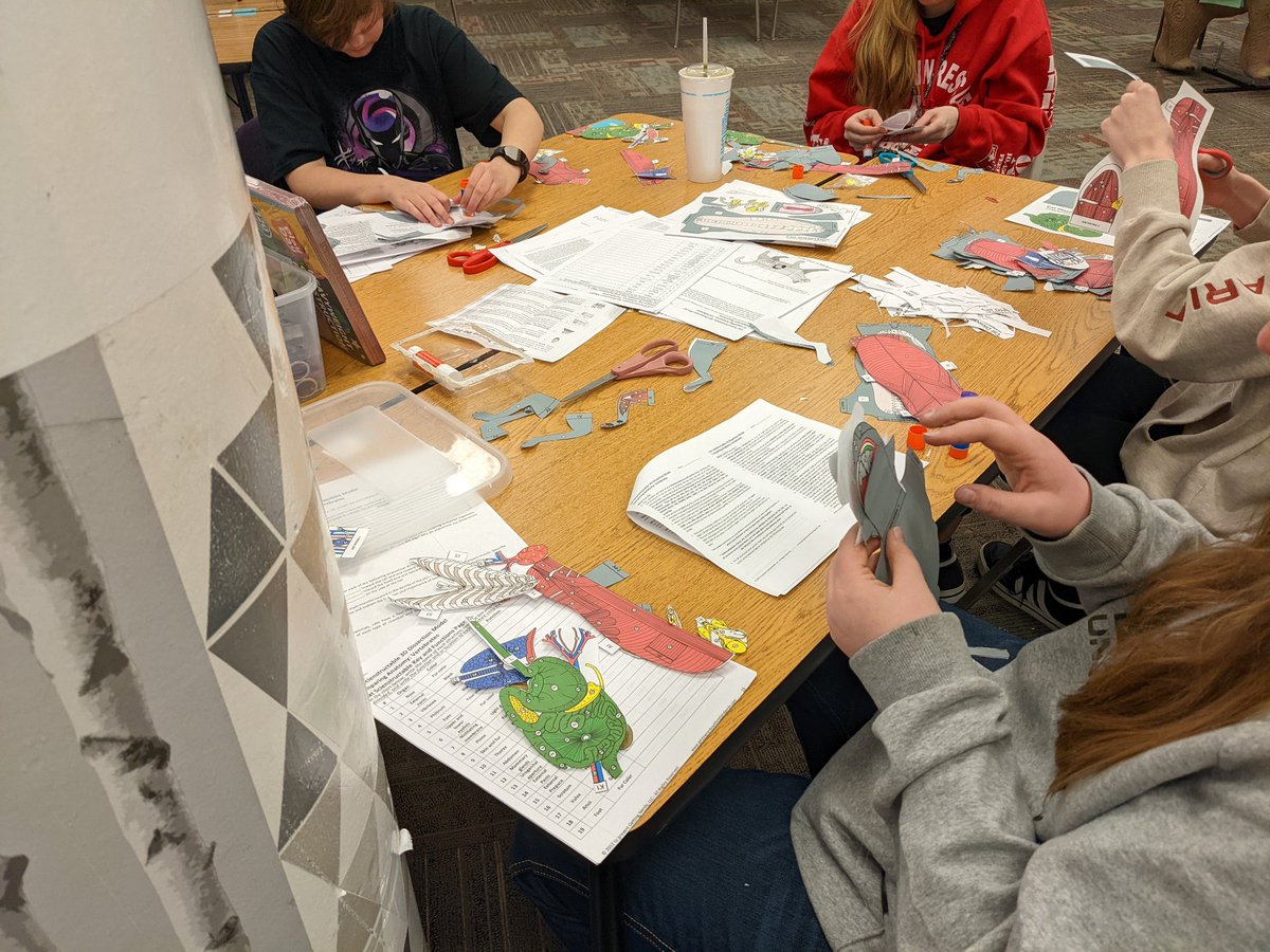 Meat cuts, floral taping/wiring, and "pop-up" cat anatomy construction!