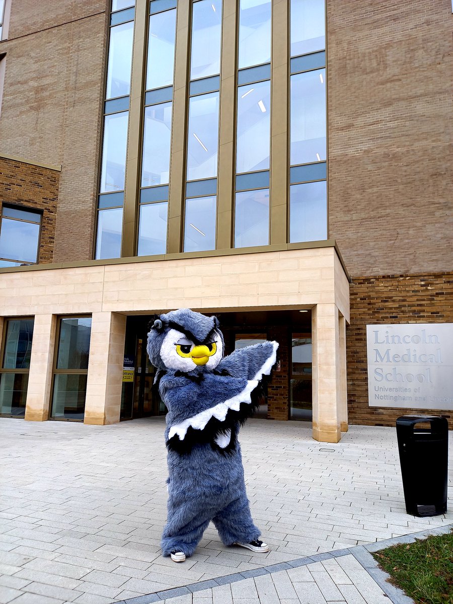 LibraryUoL's tweet photo. Sage the Owl is visiting all of the amazing places you can study on campus... today she visited the Biomedical and Health Sciences Library and the Library Learning Lounge on the 2nd Floor of the medical school... Did you spot her?
#sagetheowl #librarymascot #libraryfun https://t.co/IThcdY0jHq
