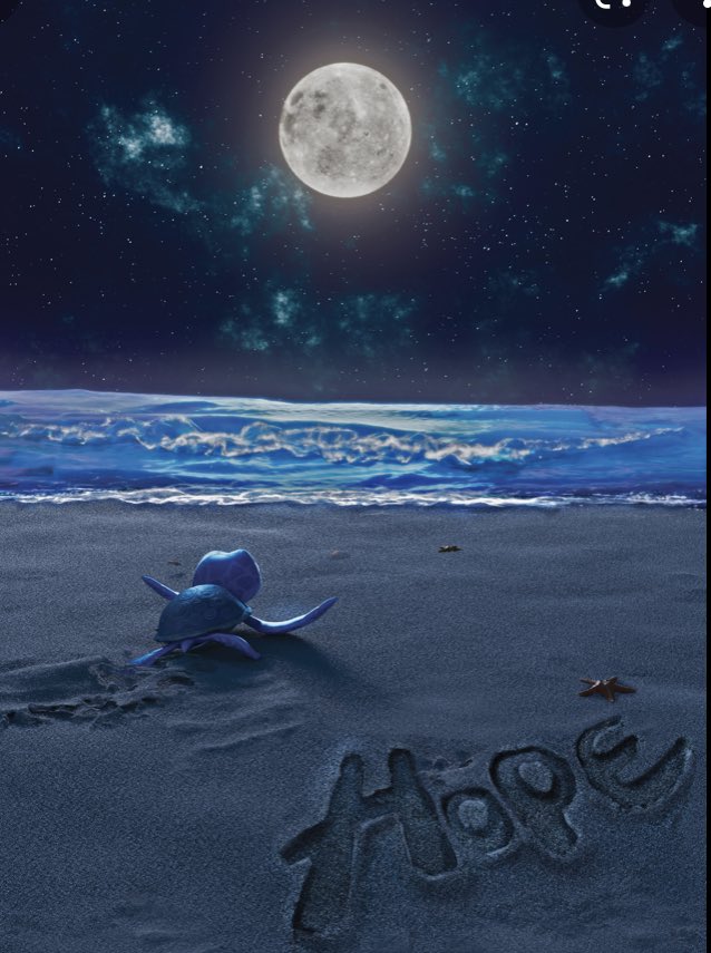 LoveInTOKYO233's tweet photo. @Remember2ndOct While Hvng Ray of โHOPEโ๐ก๐only..We can see the Light ๐๐ฑ despite of all Darkness:)) #Hope๐ โค๏ธโจ #Life_is_a_code_ https://t.co/shbtcTH6Ia