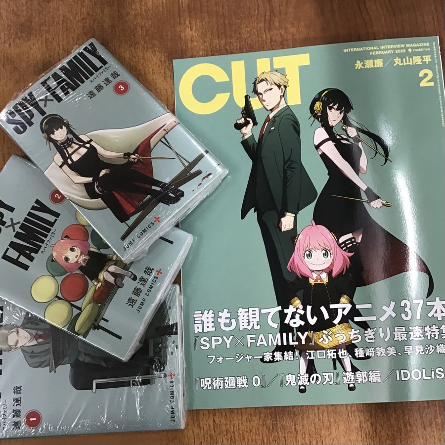 スパイファミリー ヨル フォージャーの身長体重 血液型は 強さは最強 漫画キングダム 呪術廻戦考察サイト