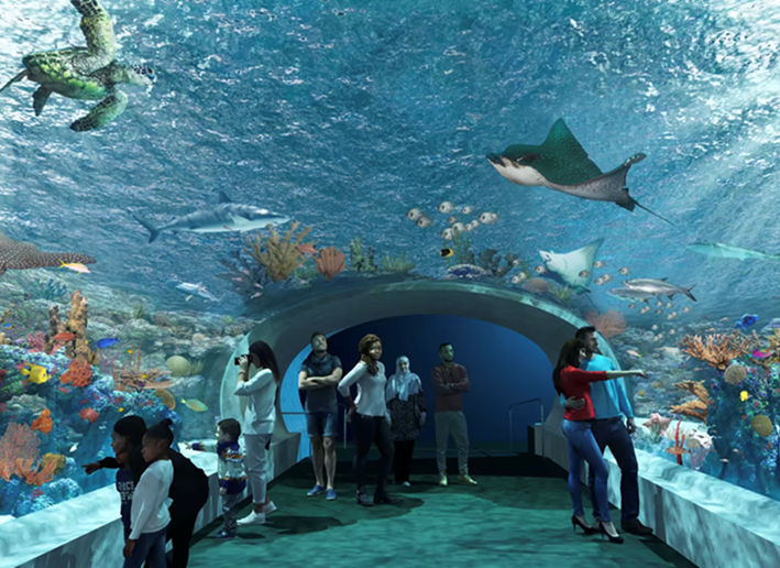 alex singla tweet media