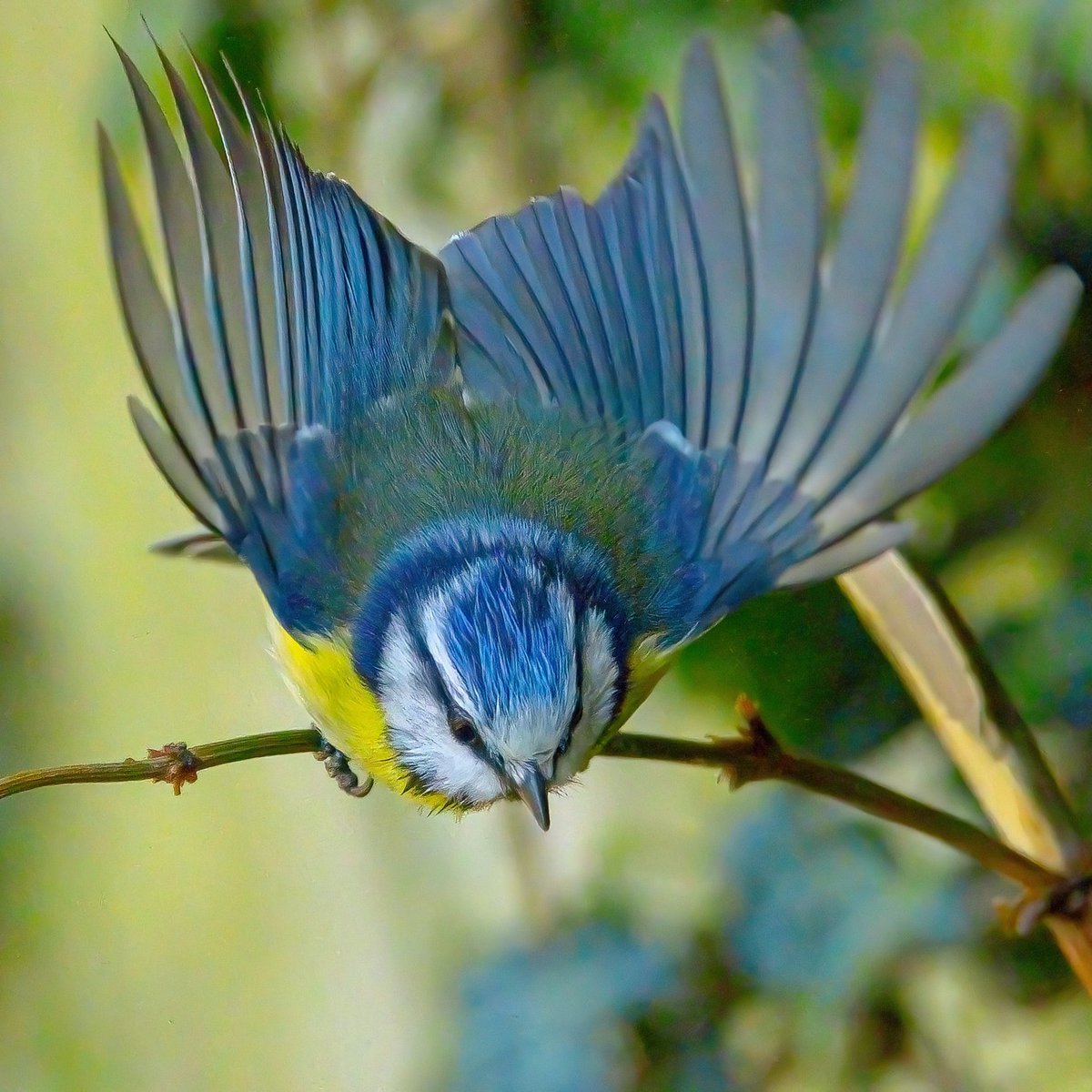 Paul Wright 🇬🇧🇯🇲🇸🇰 tweet media