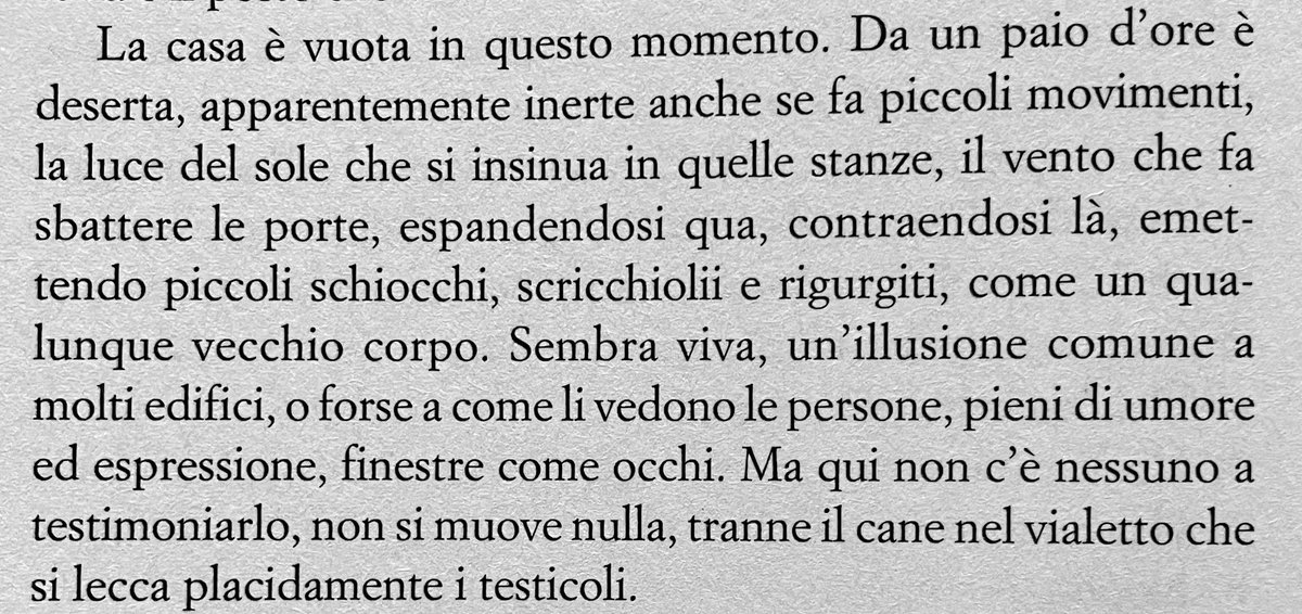 SubliminalPop tweet media