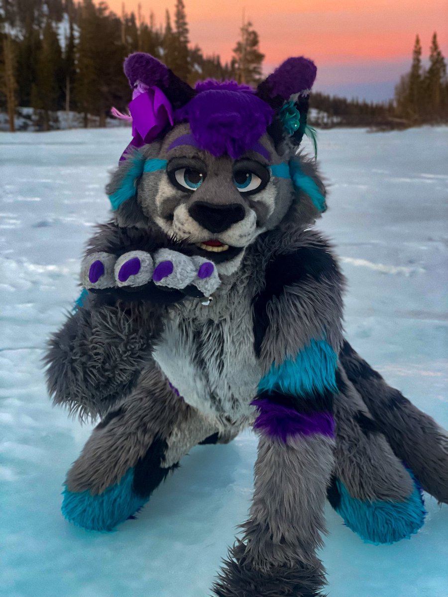 With luck, it might even snow for a cat like me ❄️