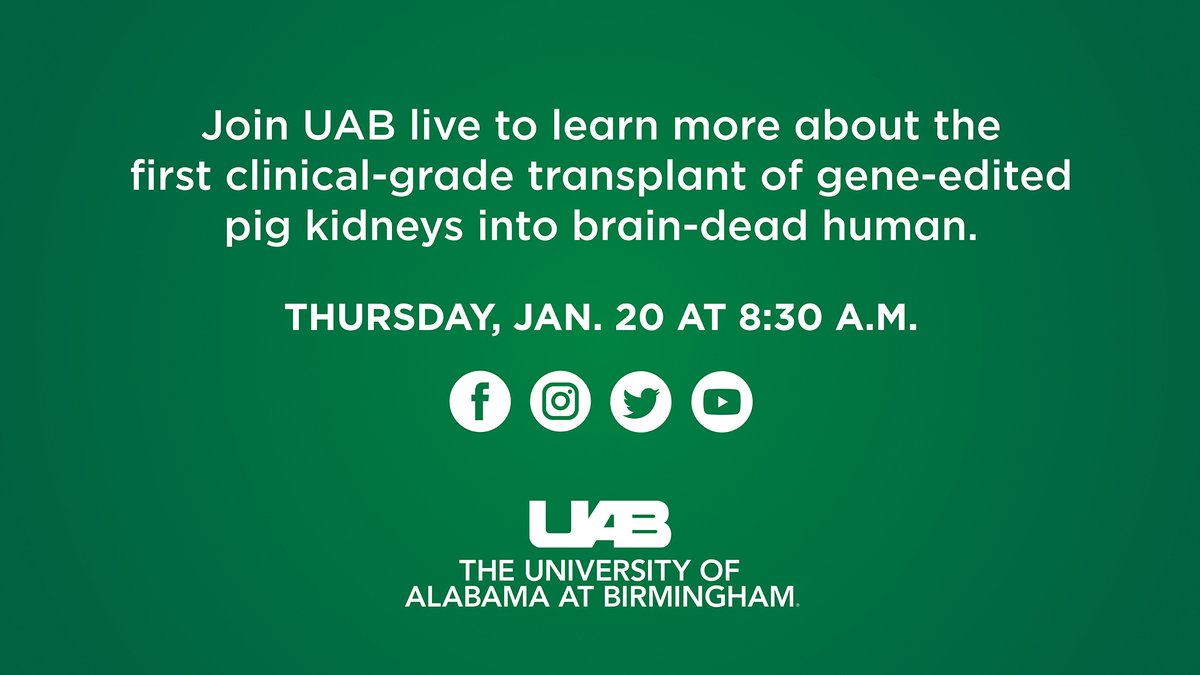 Dr. Jayme Locke and @DrVickersUAB will be live at 8:30 a.m. CT to discuss the first clinical-grade transplant of gene-edited pig kidneys into a brain-dead human.

Stream broadcast: youtu.be/9siZWzxrJHM

#xenotransplantation <a href="/UABNews/">UAB</a> <a href="/UABHeersink/">UAB Heersink School of Medicine</a>