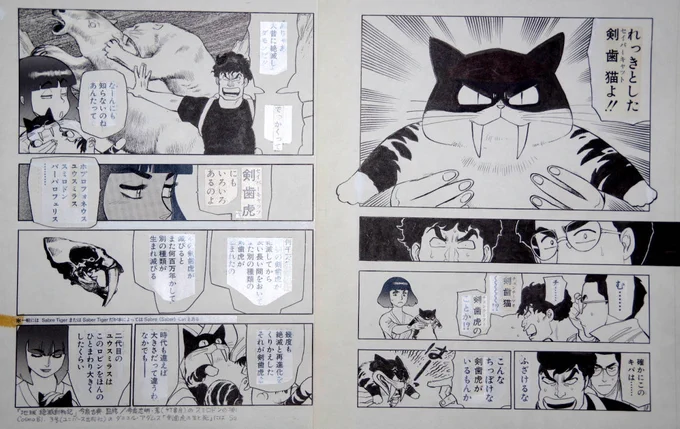 ヤフーオークションに「真作 山本貴嗣『セイバーキャッツ』1巻第五章「剣歯猫」冒頭部1～15ページ・サイン入り原画セット」を出品しました。今週は以上です。 https://t.co/rIPuDrrP47 