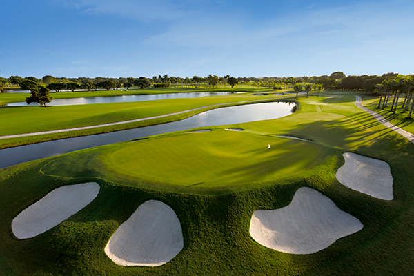 Tee time is calling! Whether you're ready to take on the Blue Monster, or try your hand at another incredible championship course, @TrumpDoral delivers a bucket list golf experience like no other. 🏌️