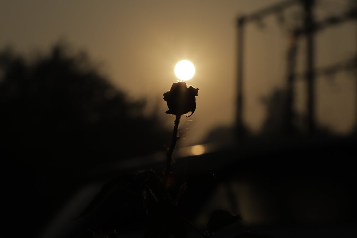 jaipatel_7707's tweet photo. #photography 
#PhotoOfTheDay 
#photographylovers 
#photo 
#PhotographyIsArt 
#PhotoMode 
#canonphotography 
#Canon https://t.co/fQB5KfTdl3