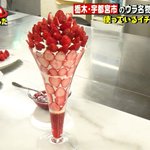 ツイートに含まれる画像