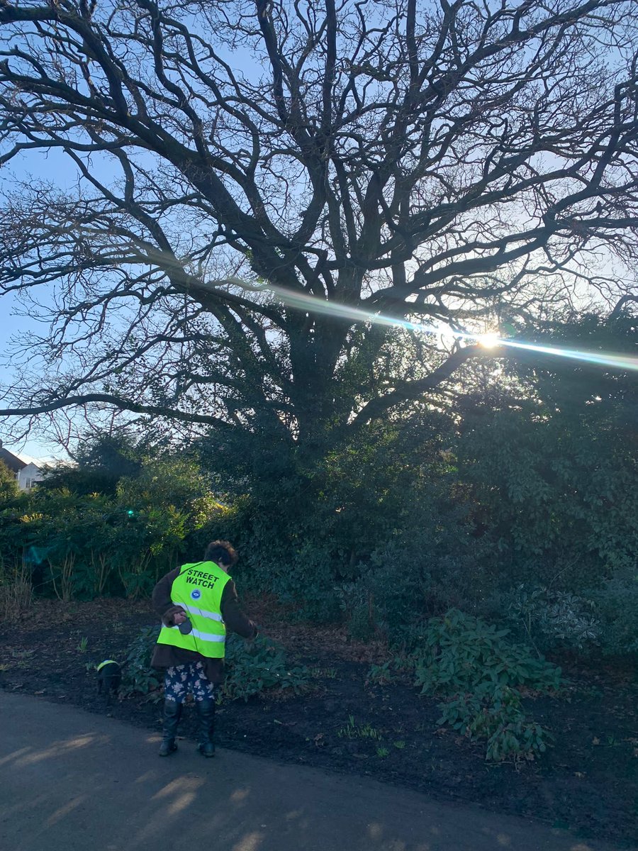 Havering Street Watch tweet media