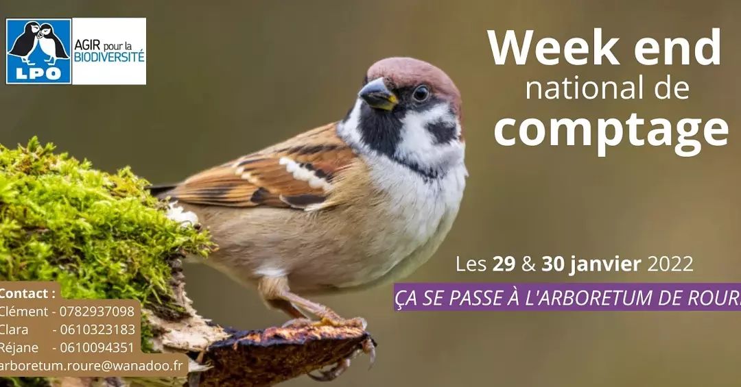ExploreNCA's tweet photo. 📣 Petits ou grands, novices ou expérimentés, prenez place à l'Arboretum de Roure pour le week-end national de comptage des oiseaux 🐦
📅 29 et 30/01 - 10h00 à 16h00

N'oubliez pas vos jumelles 😉 ! 

📸  Arboretum de Roure (fb)
👉  https://t.co/2Fn7KM2A92

#ExploreNiceCotedAzur https://t.co/KU7KpVidPM