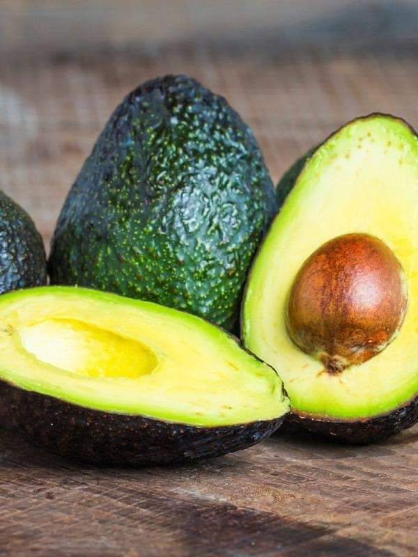 Avocado Farming tweet media