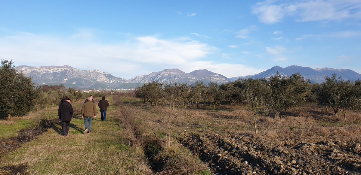HFFA_Research's tweet photo. Successful kick-off: Strategy development for the Agricultural #University of #Tirana 2030 
Our experts successfully completed their first mission. The project is commissioned by @giz_gmbh and will produce a #strategy report by October. 
👉https://t.co/yMTWVJCQHP
#agriculture https://t.co/JHvwfA7arn