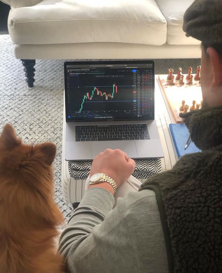 AustinGBTC's tweet photo. Pickle is #happy with +4.4% on NJ. Getting ready to go for a walk with #dogs and planning ahead for the #weekend and #NewWeek #NFTs #NFTGiveaway #NFTdrop #NFTCommmunity #investing #TradingView #TRADINGTIPS #Investment #Ghani #MystArt #goodmorning https://t.co/8Dal8meswB