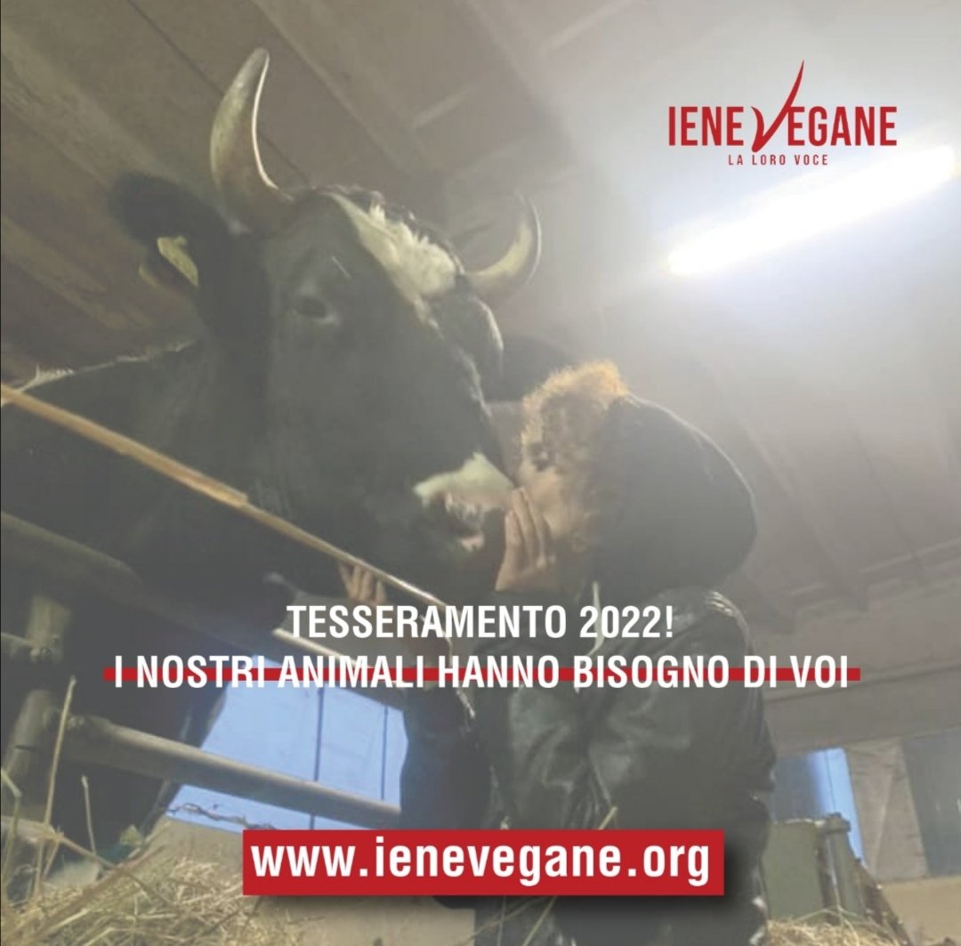 IeneVegane's tweet photo. TESSERAMENTO 2022
È aperta la campagna di tesseramento a Iene Vegane!
Visitate il sito https://t.co/IOyYTTLHN5 e andate nella sezione “Tesseramento”.
Potete donare €21 ed essere soci ordinari oppure diventare soci sostenitori con €51. Cosa state aspettando? 🙂 https://t.co/L2JYrpRGjz