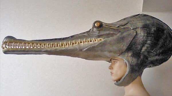 GatorsDaily's tweet photo. the gharial hat stays ON during sex https://t.co/4KR1WeM5zo