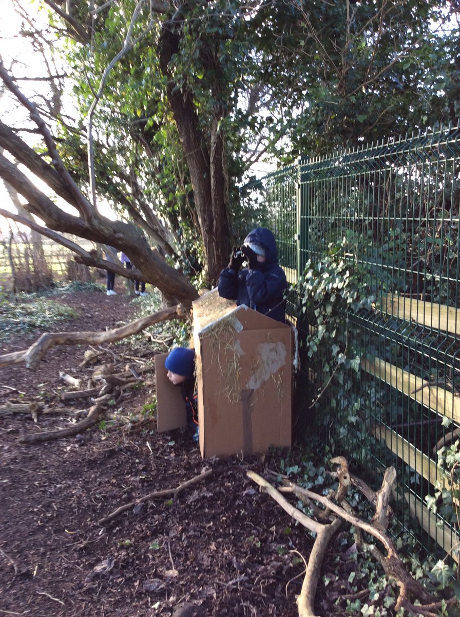StanleyGrovePri's tweet image. Class 6 spent a very happy hour taking part in the Big Schools’ Birdwatch 2022 #RSPB_learning They were very surprised at how many different types of birds we share our school site with. #CitizenScience