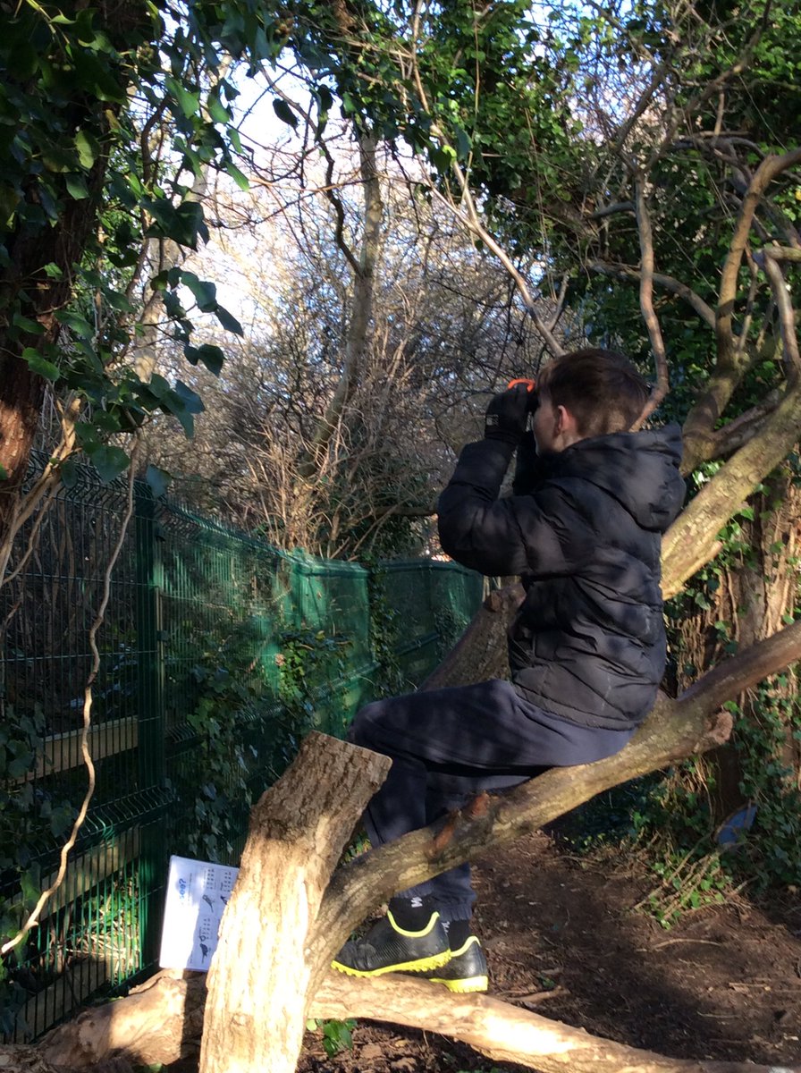 StanleyGrovePri's tweet image. Class 6 spent a very happy hour taking part in the Big Schools’ Birdwatch 2022 #RSPB_learning They were very surprised at how many different types of birds we share our school site with. #CitizenScience