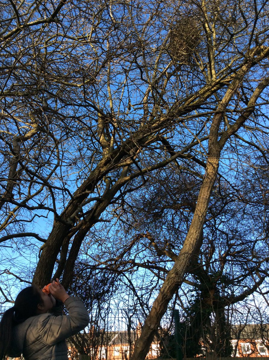 StanleyGrovePri's tweet image. Class 6 spent a very happy hour taking part in the Big Schools’ Birdwatch 2022 #RSPB_learning They were very surprised at how many different types of birds we share our school site with. #CitizenScience