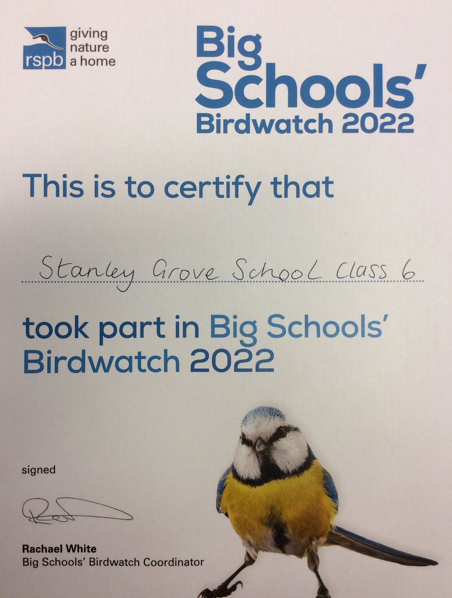 StanleyGrovePri's tweet image. Class 6 spent a very happy hour taking part in the Big Schools’ Birdwatch 2022 #RSPB_learning They were very surprised at how many different types of birds we share our school site with. #CitizenScience