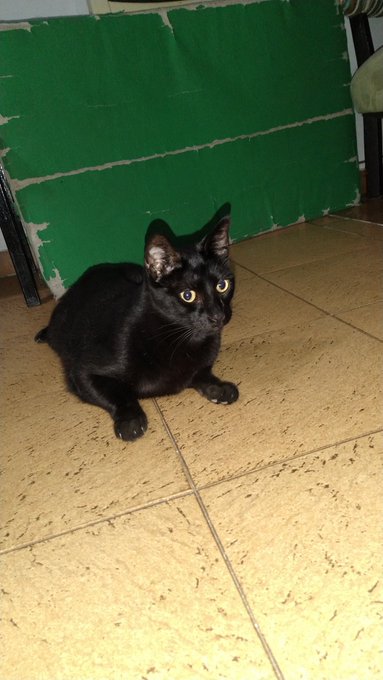 Daniel viendo al bb de la casa xD https://t.co/Qqzb5Gpz5a<a href="/tag/elbananero"class="tags"><span>#elbananero</span></a>