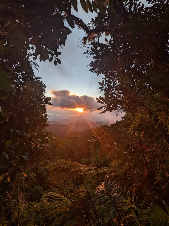 Dès 18h📻 Retrouvez le  #Svi avec l'émission "mais t'es où" ! 🌏✈
🎙 On écoutera le témoignage d'Ignace, jeune Belge en volontariat au Costa Rica. 🇨🇷
🤩 Une destination et un projet de rêve avec les tortues ▶  pulseair.be
#volontariat #costarica #voyage #Jeunesse