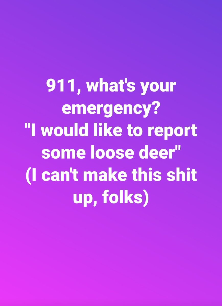 Hustlin' for a Homestead 🍀❤🤠❤🇺🇲❤🎣 tweet media