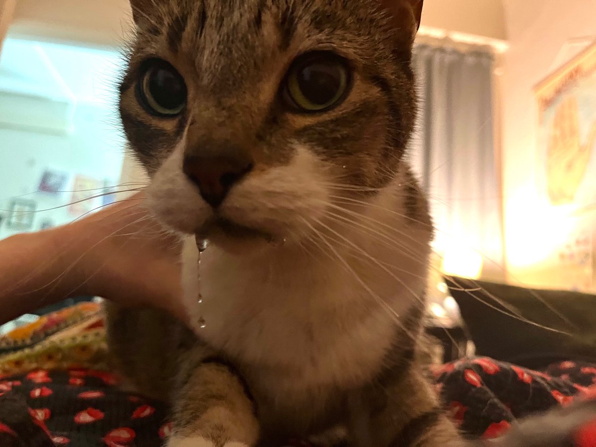 SmilingGrouch's tweet image. Everyday I’m awakened by my own personal waterfall.