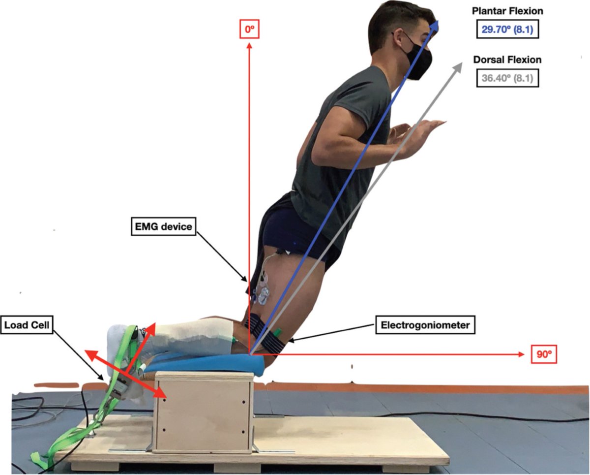 Bas Van Hooren tweet media