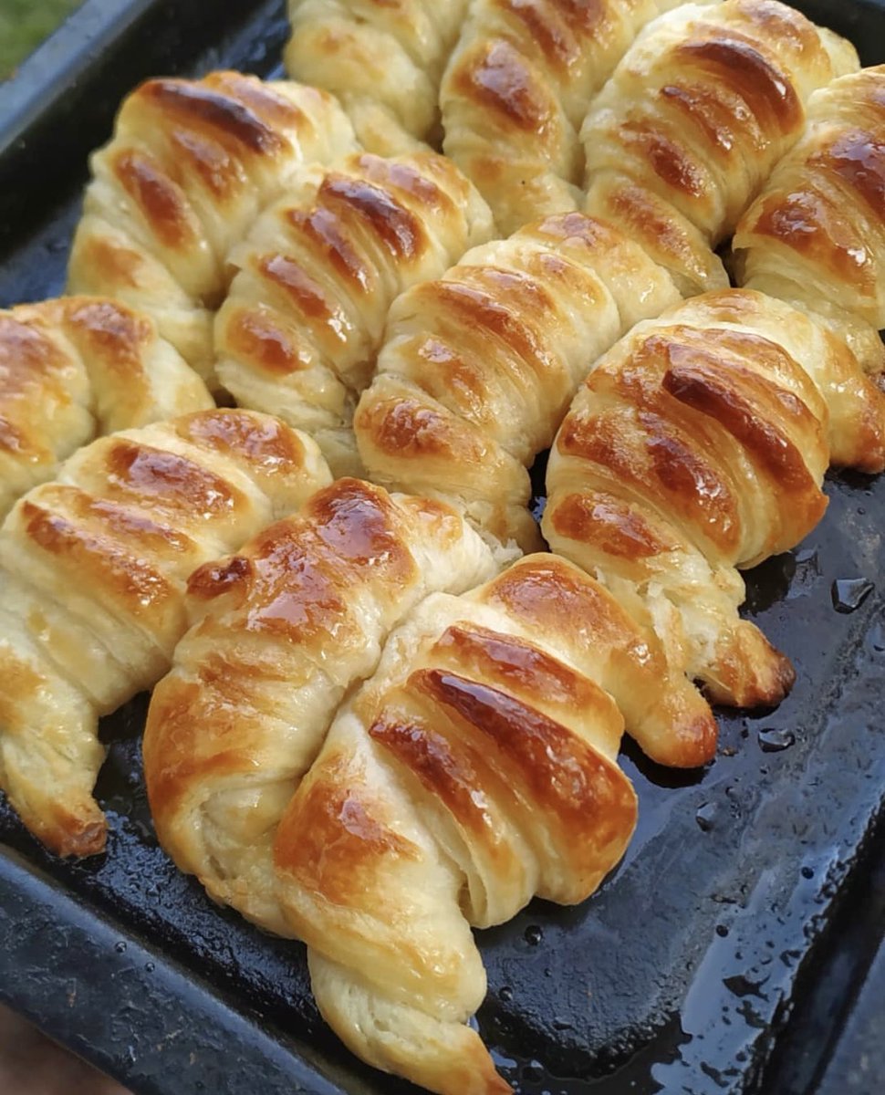 Necesito clavarme una docena urgente