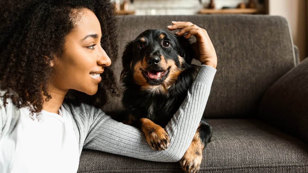 PetStopStore's tweet photo. https://t.co/oV4HEfqbLX
#cloning #pets #instagram https://t.co/v3ynJZO3fs