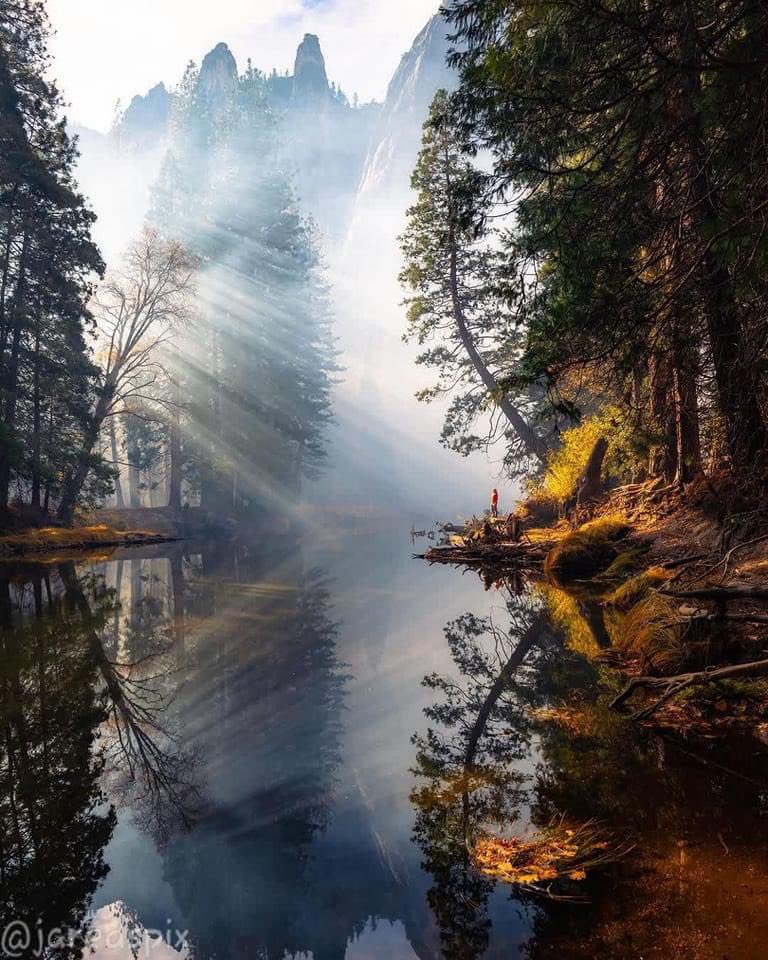 nayef_Al_saif_'s tweet photo. 📍Yosemite National Park
📷@jaredspix [IG] 🌿🌾 https://t.co/3z6Okk62Af