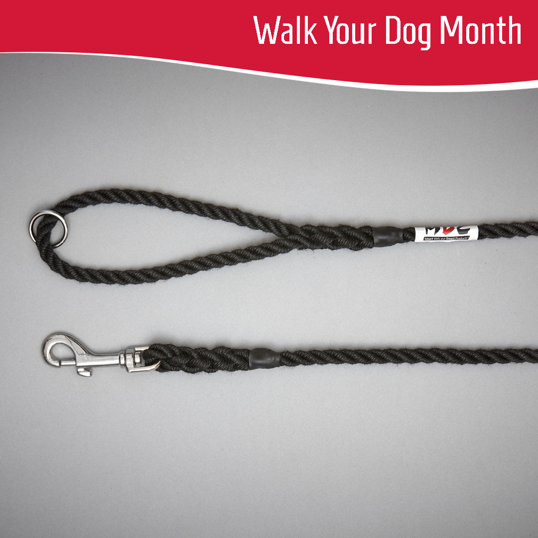 It’s #NationalWalkYourDogMonth! 🐕

#Dogs need to have regular walks that can positively impact their physical and #mentalhealth.

Flexible and high-quality leads are necessary to allow dogs to #exercise and give confidence that they will remain safe &gt; mdcexports.co.uk/product-catego…