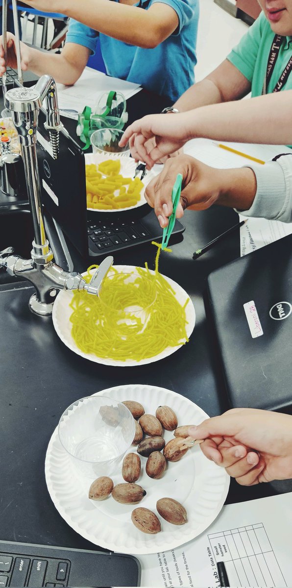 yamilet_arroyo's tweet image. 7th grade Panthers &amp;amp; hands on Science. 🤗
Using every day items to explain science adaptations 😊 #ExploreBeforeExplain #SafetyFirst