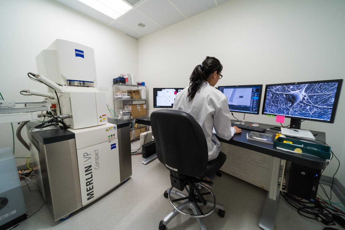MPFNeuro's tweet photo. We’re excited to announce that MPFI &amp; @FloridaAtlantic have been approved to launch the first US-Based International Max Planck Research School, offering innovative neuroscience Ph.D. training. Read more about this exciting program at https://t.co/qnFnVwUxtQ https://t.co/pQC2Mze7EK