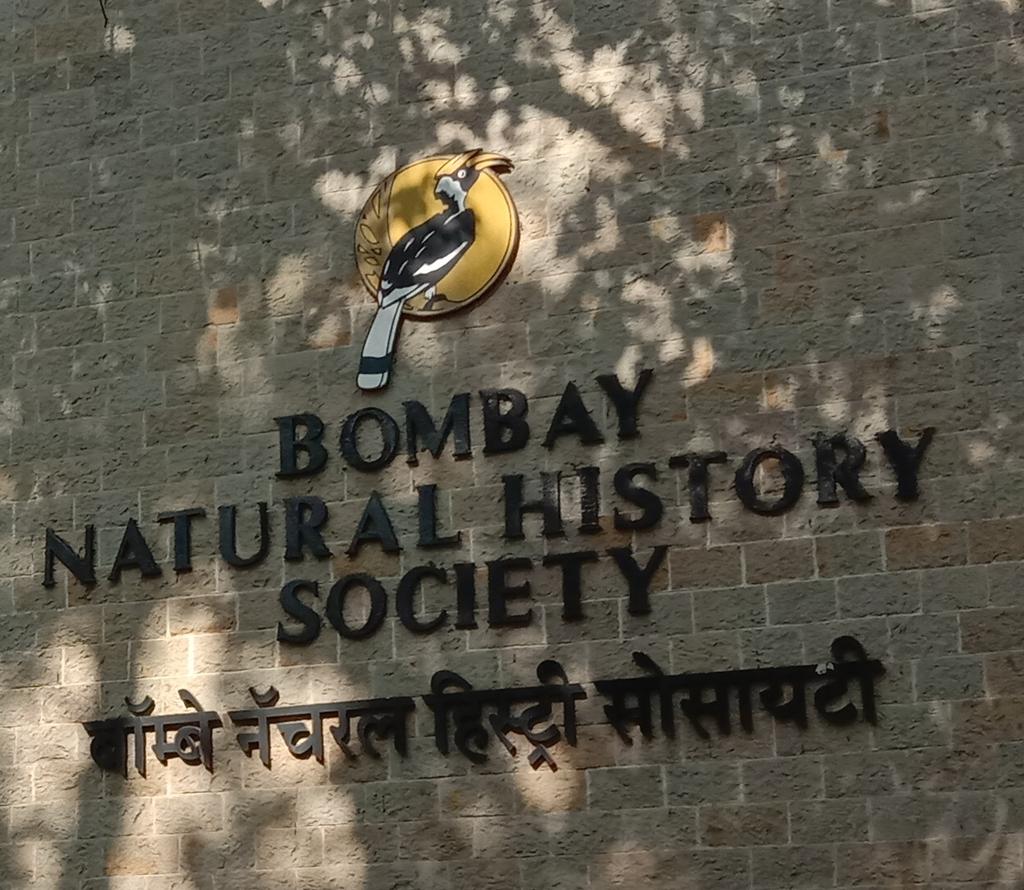 AMOD VAIDYA on Twitter: "#xtremephilately Bombay Natural History Society ( BNHS), Mumbai. Founded in 1883. Stamp was released in 1983 on its centenary. The BNHS logo is the great hornbill, inspired by