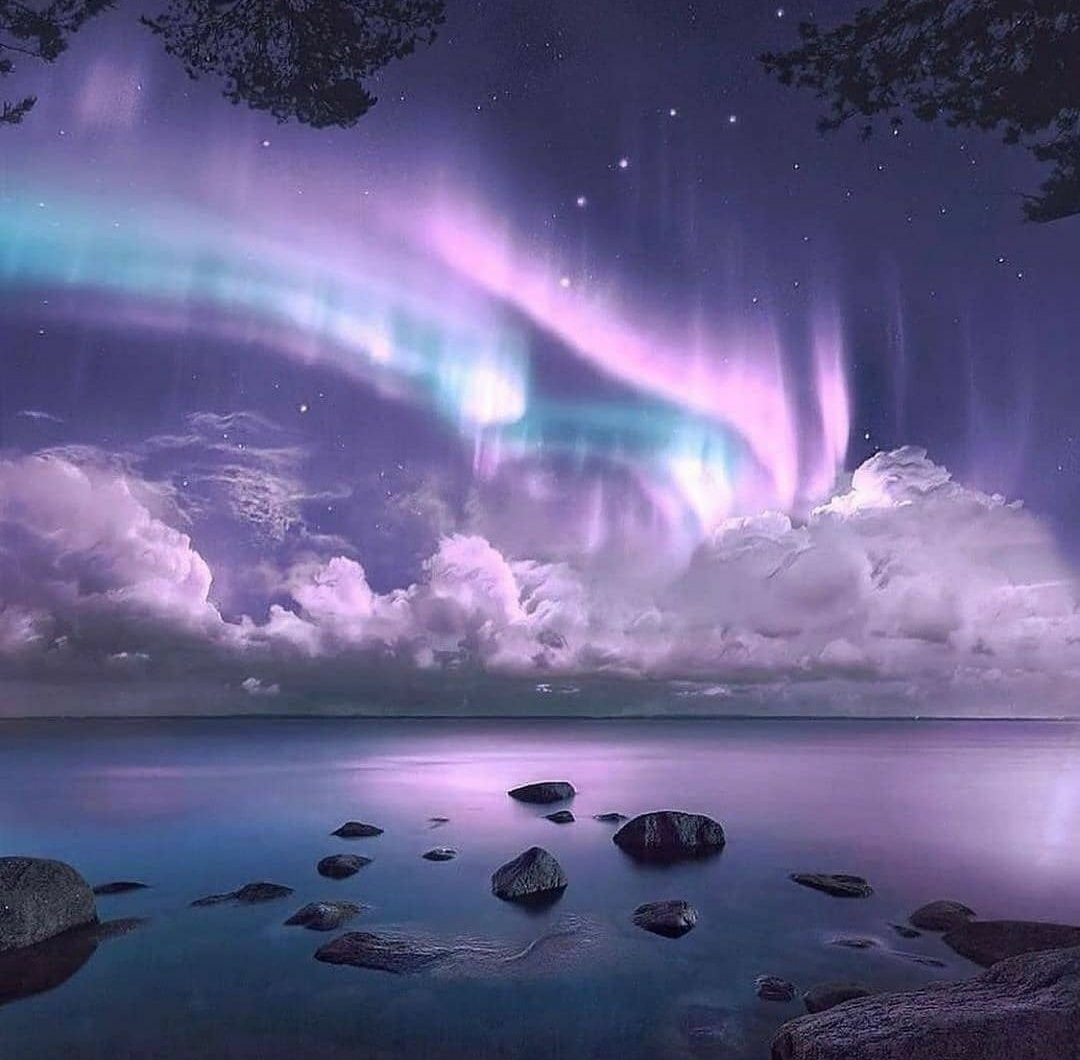 Good Evening Everyone.

   💙💜#NatureBeauty #nature💜💙