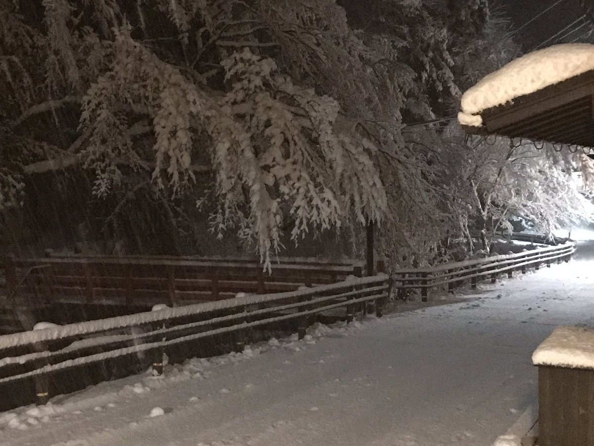 kibune_denbe's tweet photo. 寒いですね❄️
京都貴船の夜の雪景色です。 https://t.co/6pw7W3Iqwx