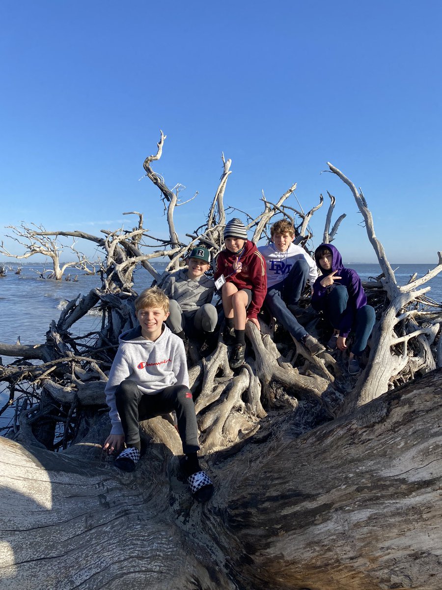 lancepolikov1's tweet photo. #RNEJekyll22 turtles at north end https://t.co/gAcAtz3xcd